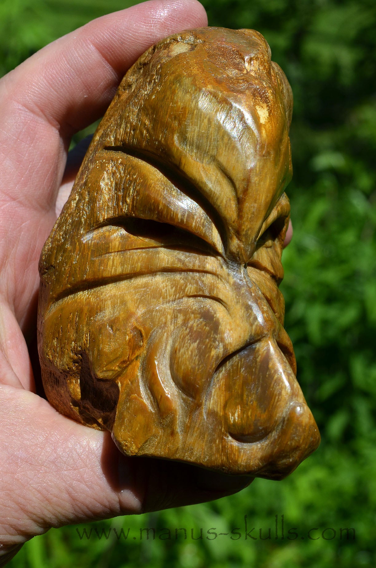 Quirky Petrified Wood Skull Face
