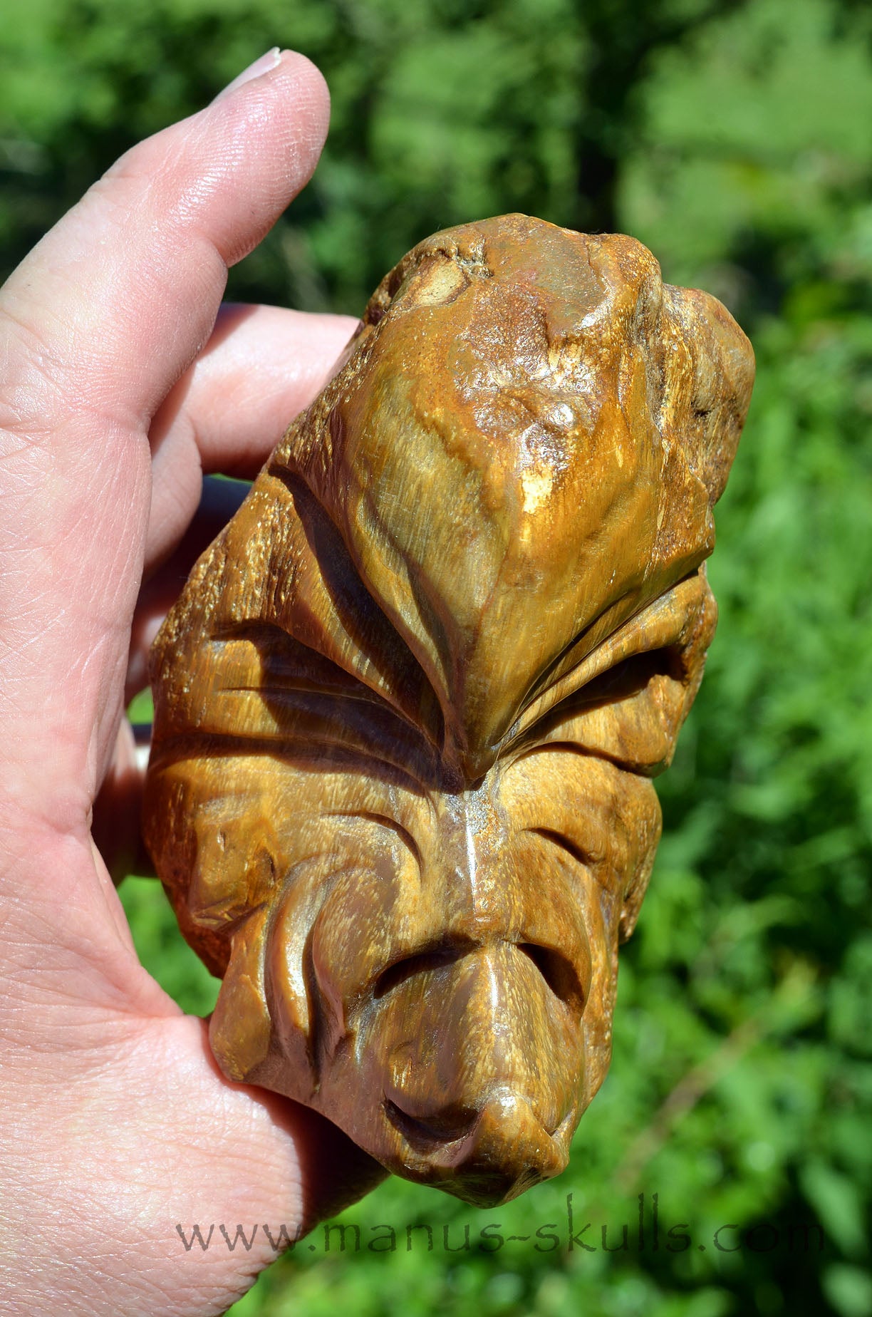 Quirky Petrified Wood Skull Face