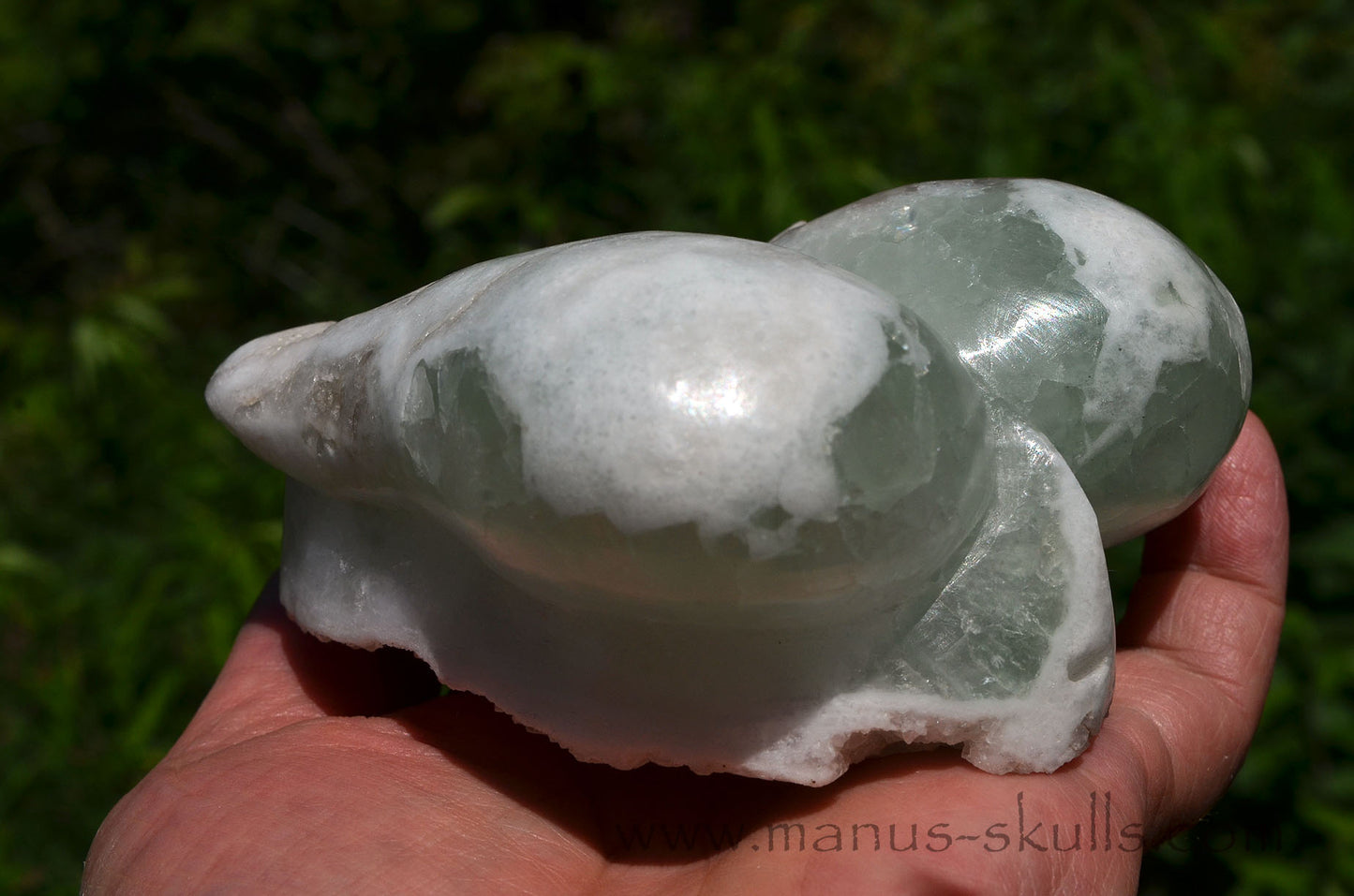 Apophyllite Dragolian (#28)
