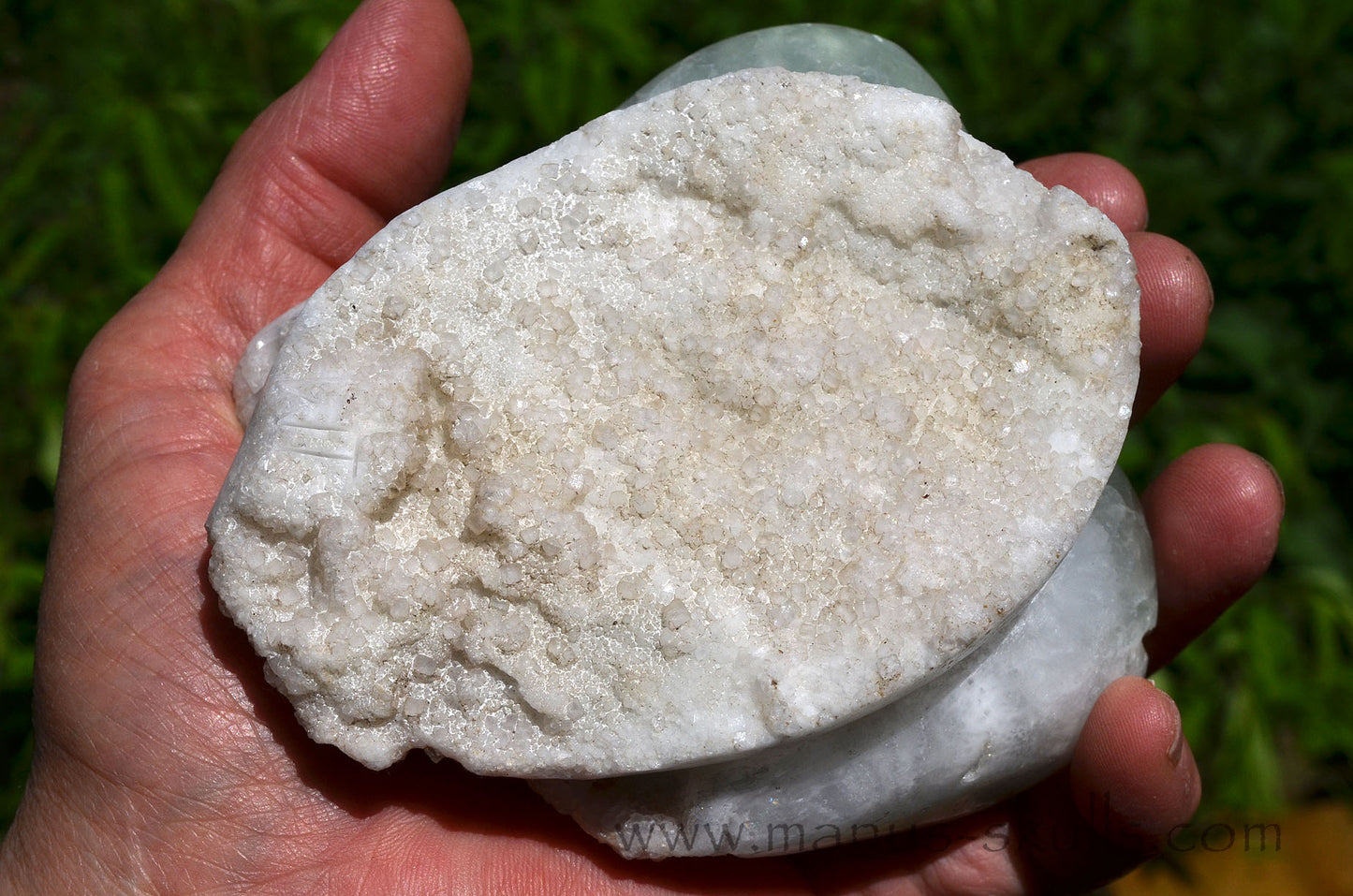 Apophyllite Dragolian (#28)
