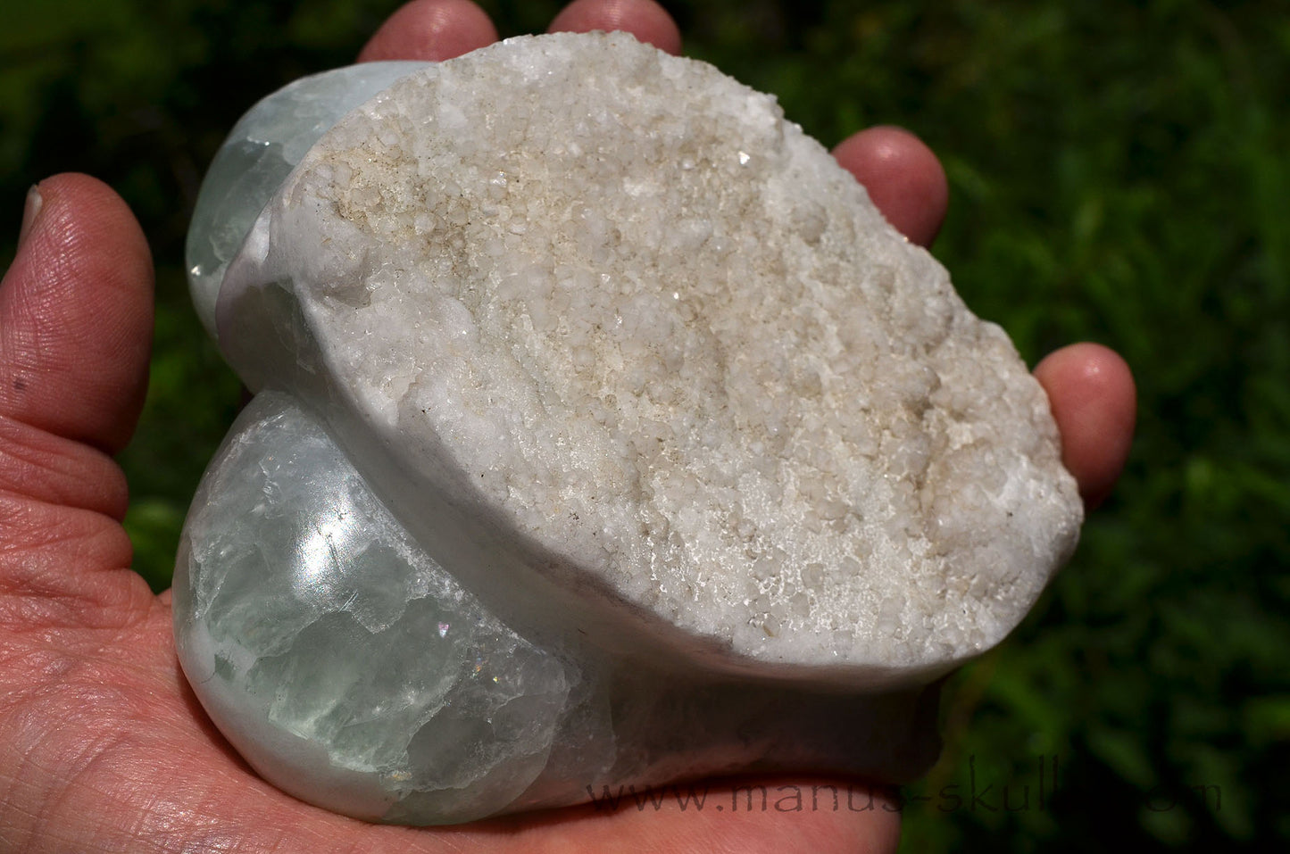 Apophyllite Dragolian (#28)