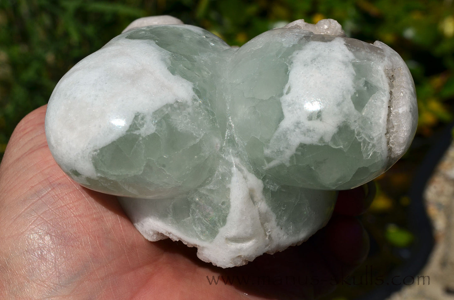 Apophyllite Dragolian (#28)