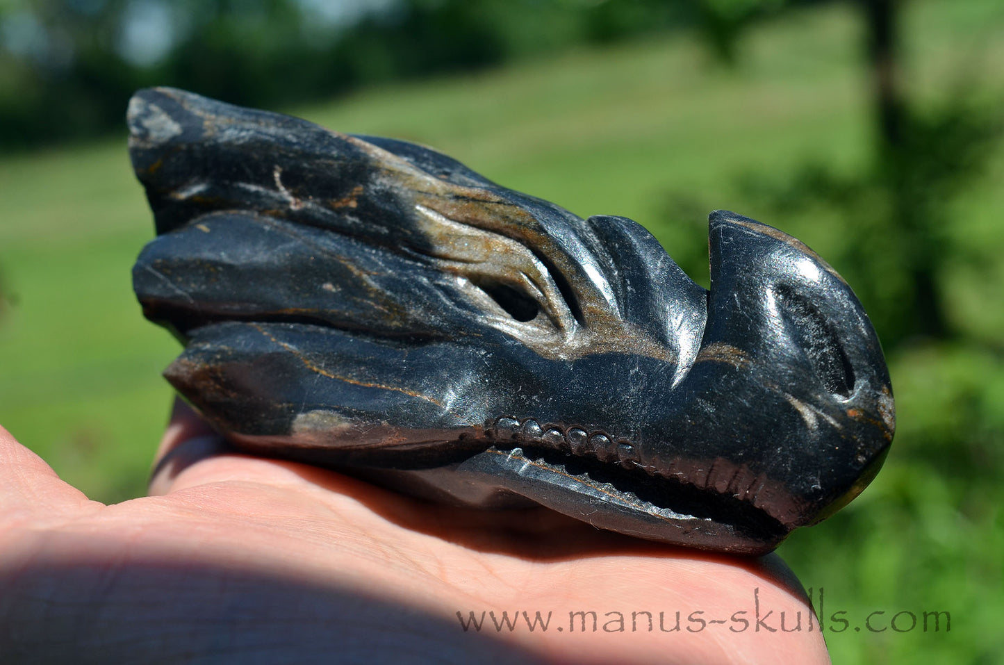 Isua Dragon