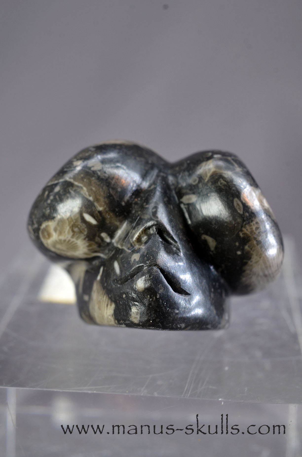 Manus skulls Evolians Dragolians unique Crystal Carvings handmade skulls dragons pendants preseli bluestone tribals spiritual meaning wand Unicorn .. Dragolian Frosterley marble