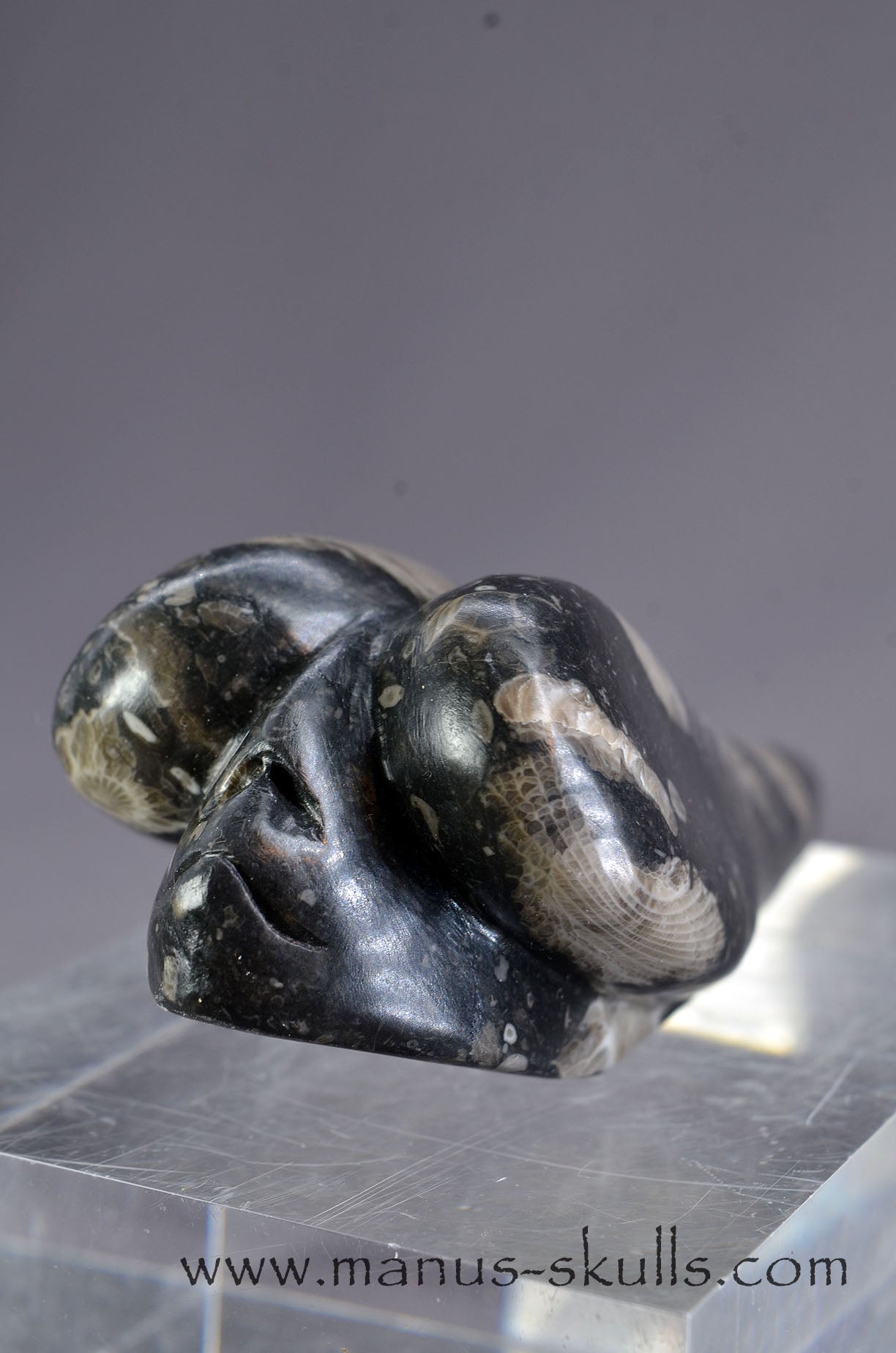 Manus skulls Evolians Dragolians unique Crystal Carvings handmade skulls dragons pendants preseli bluestone tribals spiritual meaning wand Unicorn .. Dragolian Frosterley marble