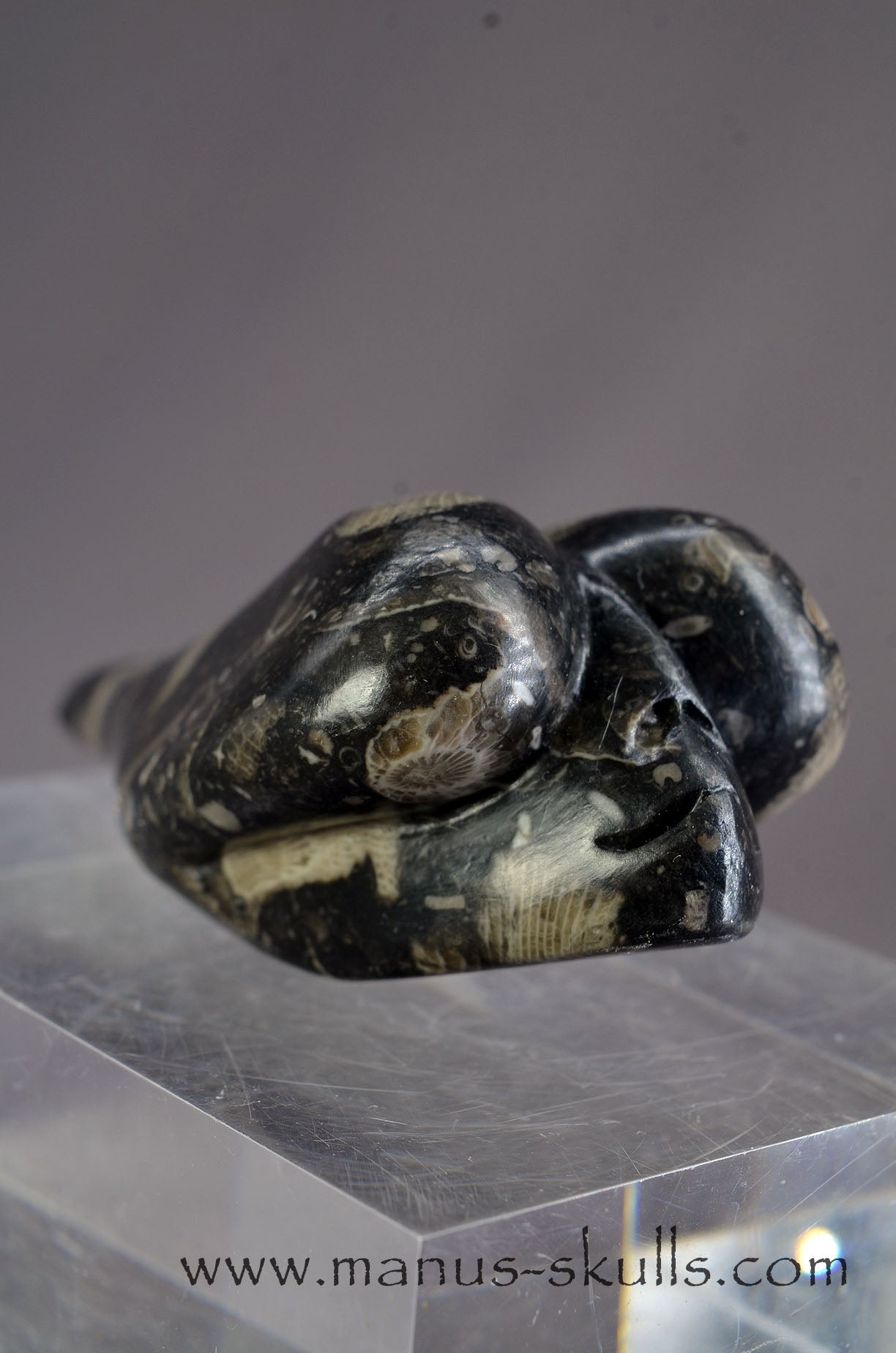 Frosterley Marble Dragolian (#032)