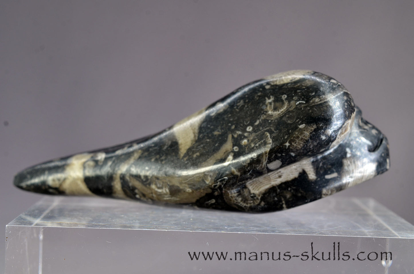 Frosterley Marble Dragolian (#032)