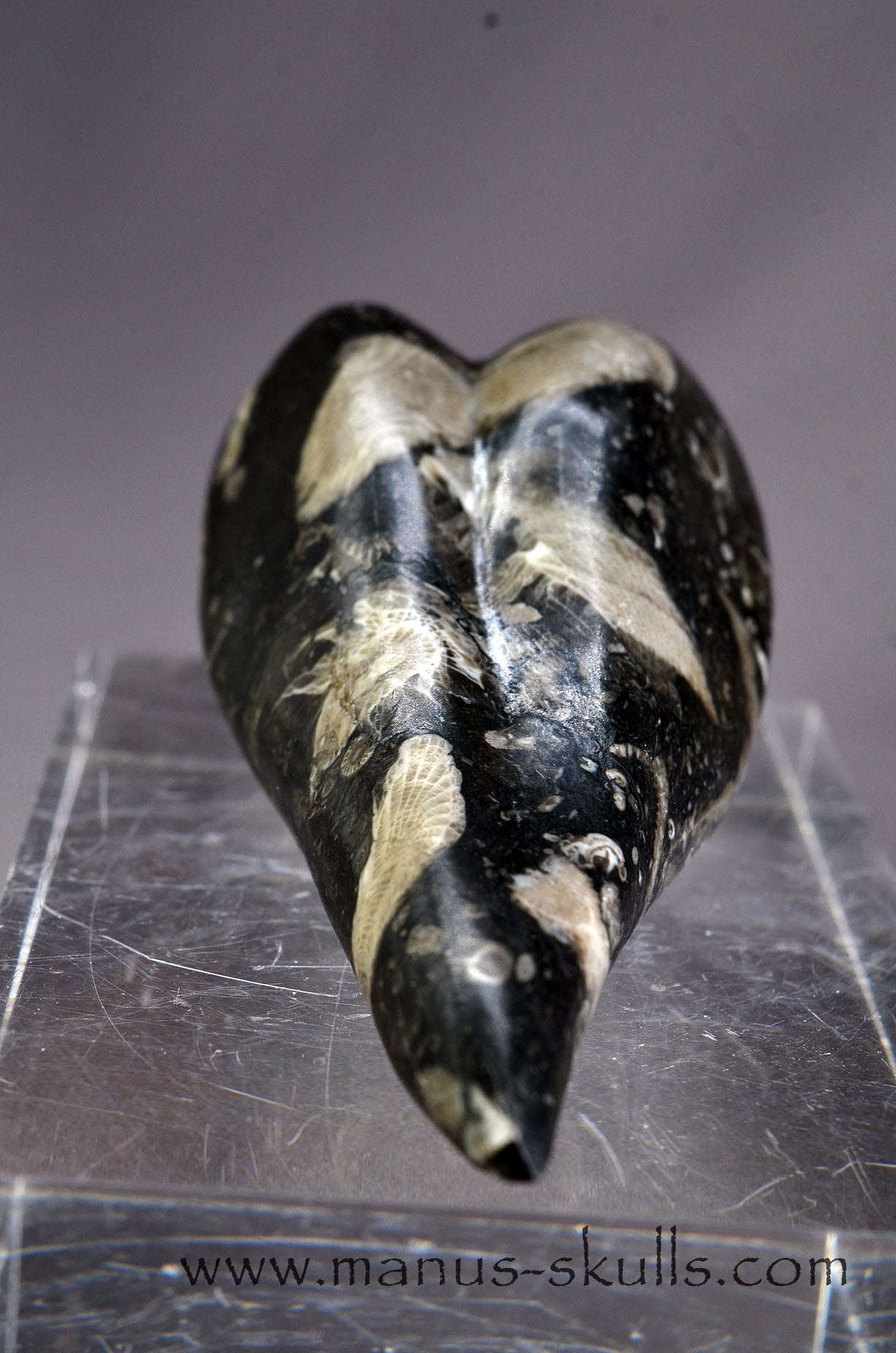 Manus skulls Evolians Dragolians unique Crystal Carvings handmade skulls dragons pendants preseli bluestone tribals spiritual meaning wand Unicorn .. Dragolian Frosterley marble