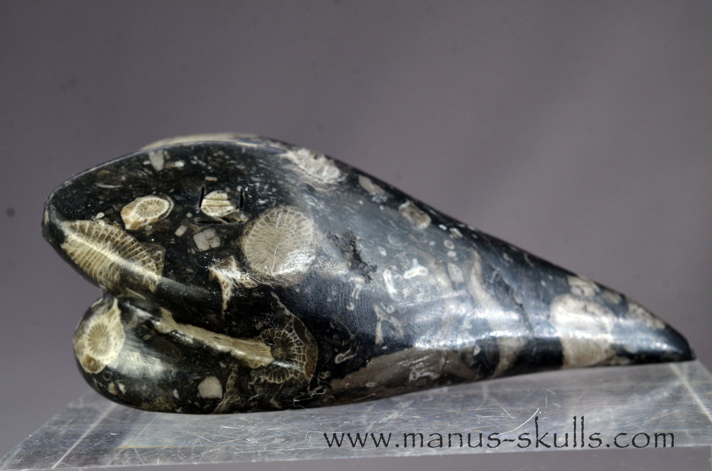 Frosterley Marble Dragolian (#032)