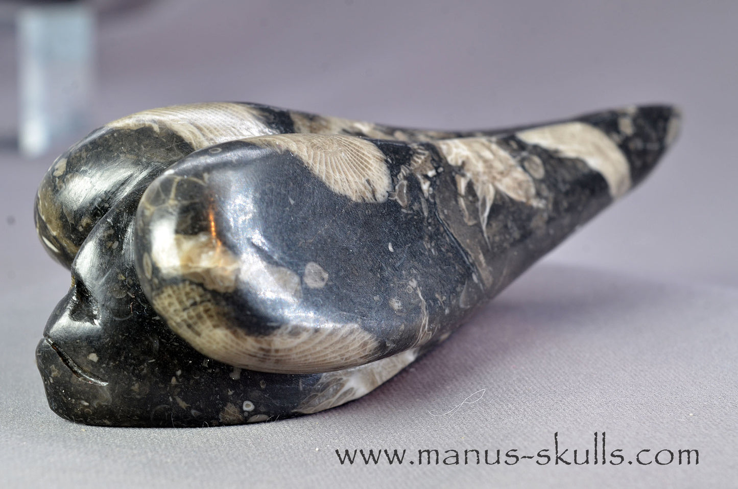 Frosterley Marble Dragolian (#032)