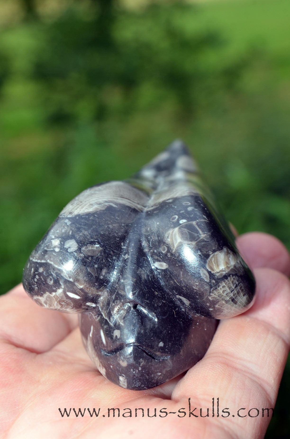Frosterley Marble Dragolian (#032)