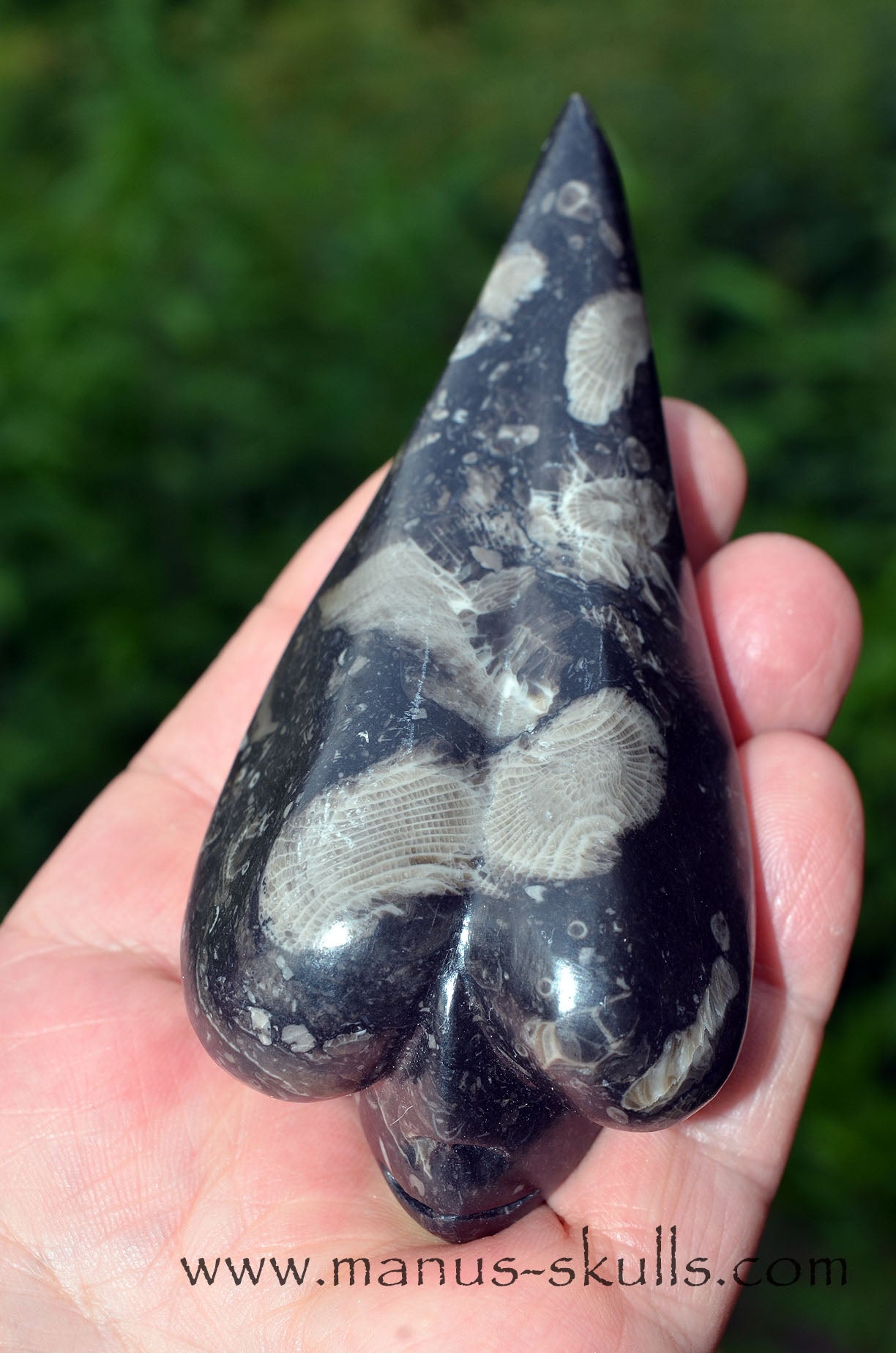 Frosterley Marble Dragolian (#032)