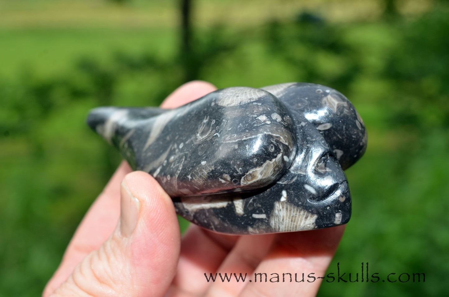 Frosterley Marble Dragolian (#032)