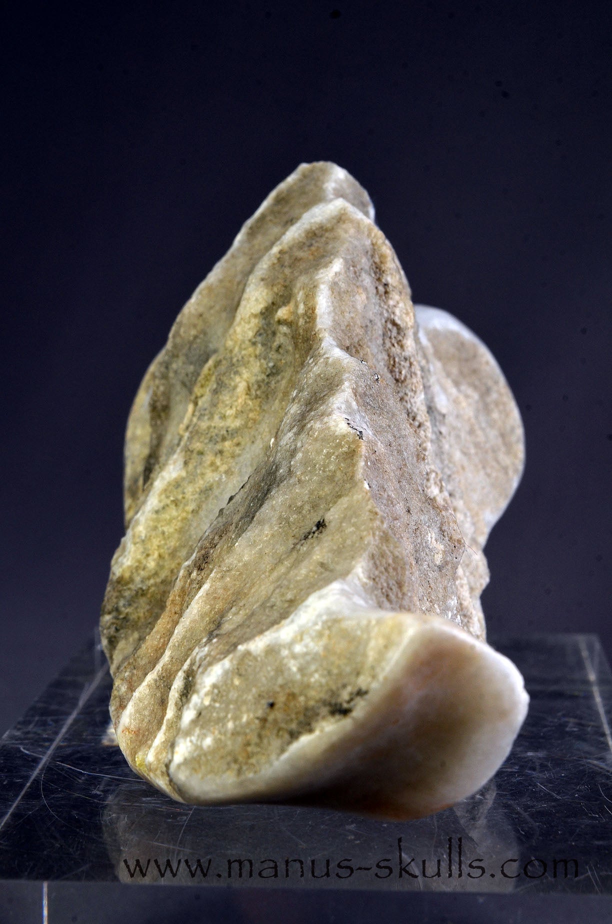 Greek Marble Dragolian (#31)
