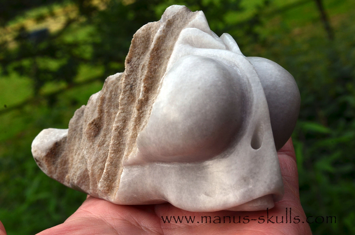 Greek Marble Dragolian (#31)