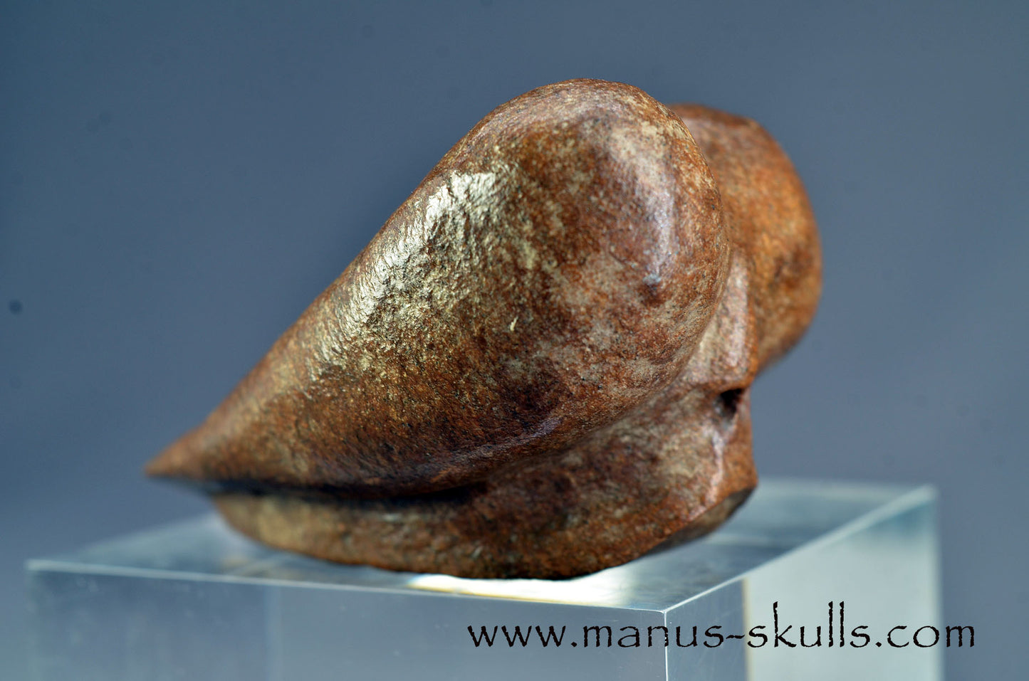 Brazilian Steatite Dragolian (#030)