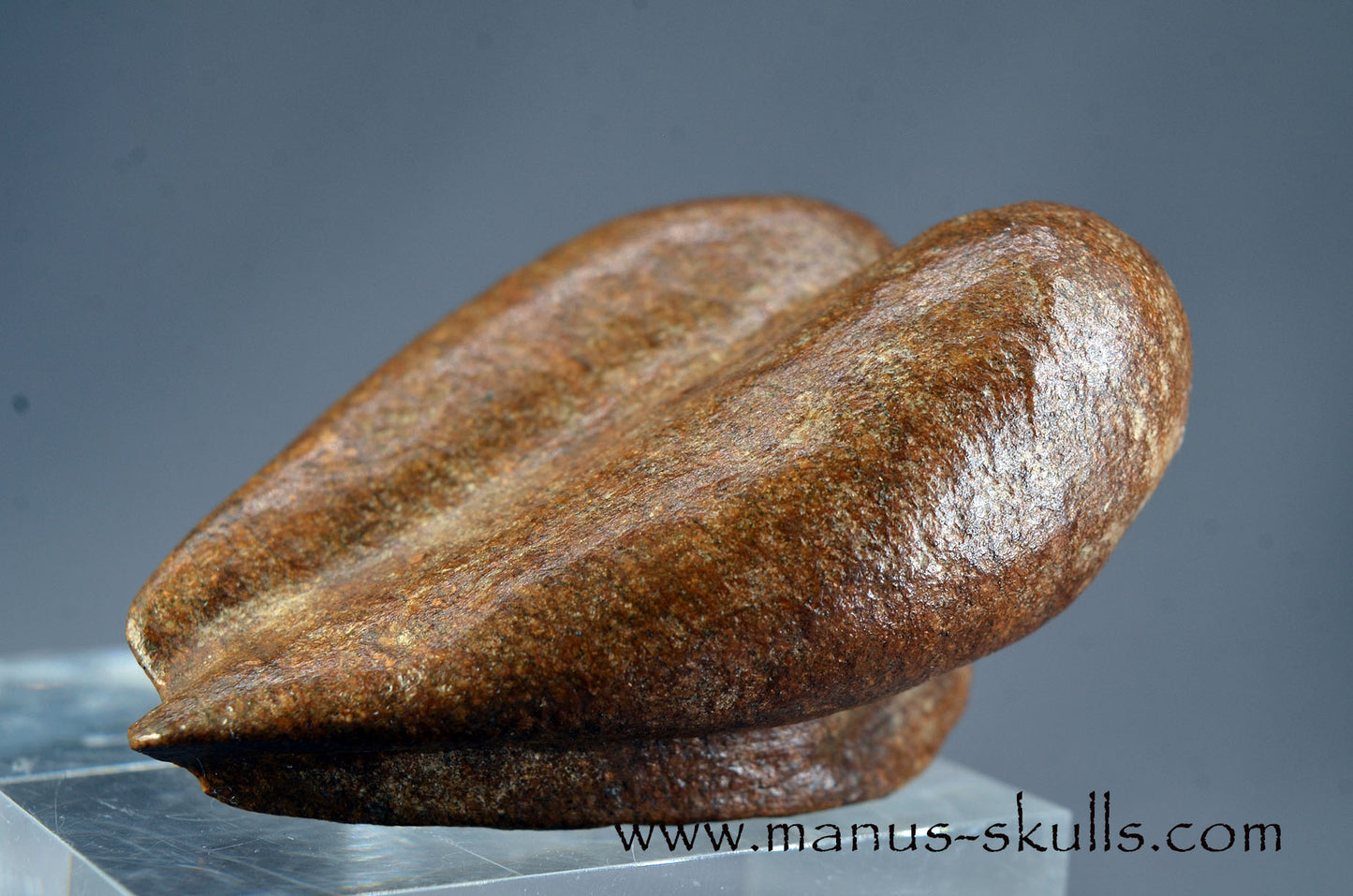 Brazilian Steatite Dragolian (#030)