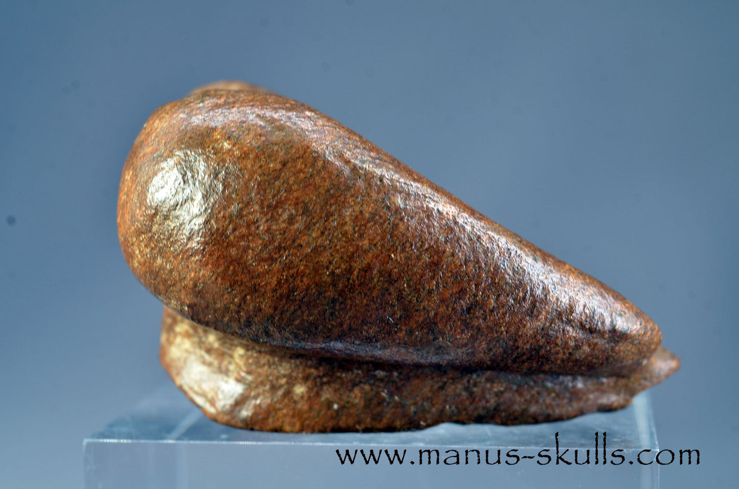 Brazilian Steatite Dragolian (#030)