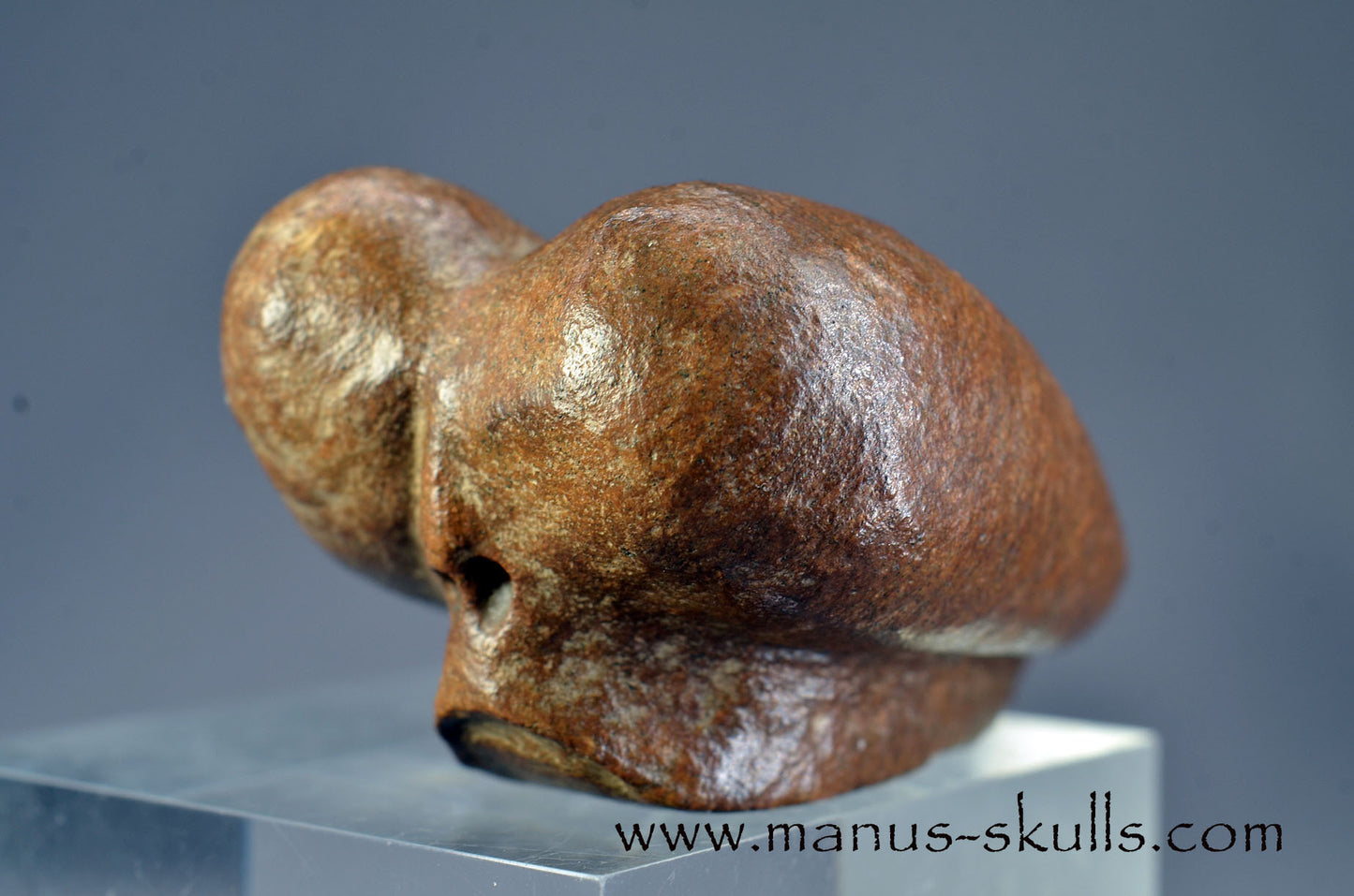 Brazilian Steatite Dragolian (#030)