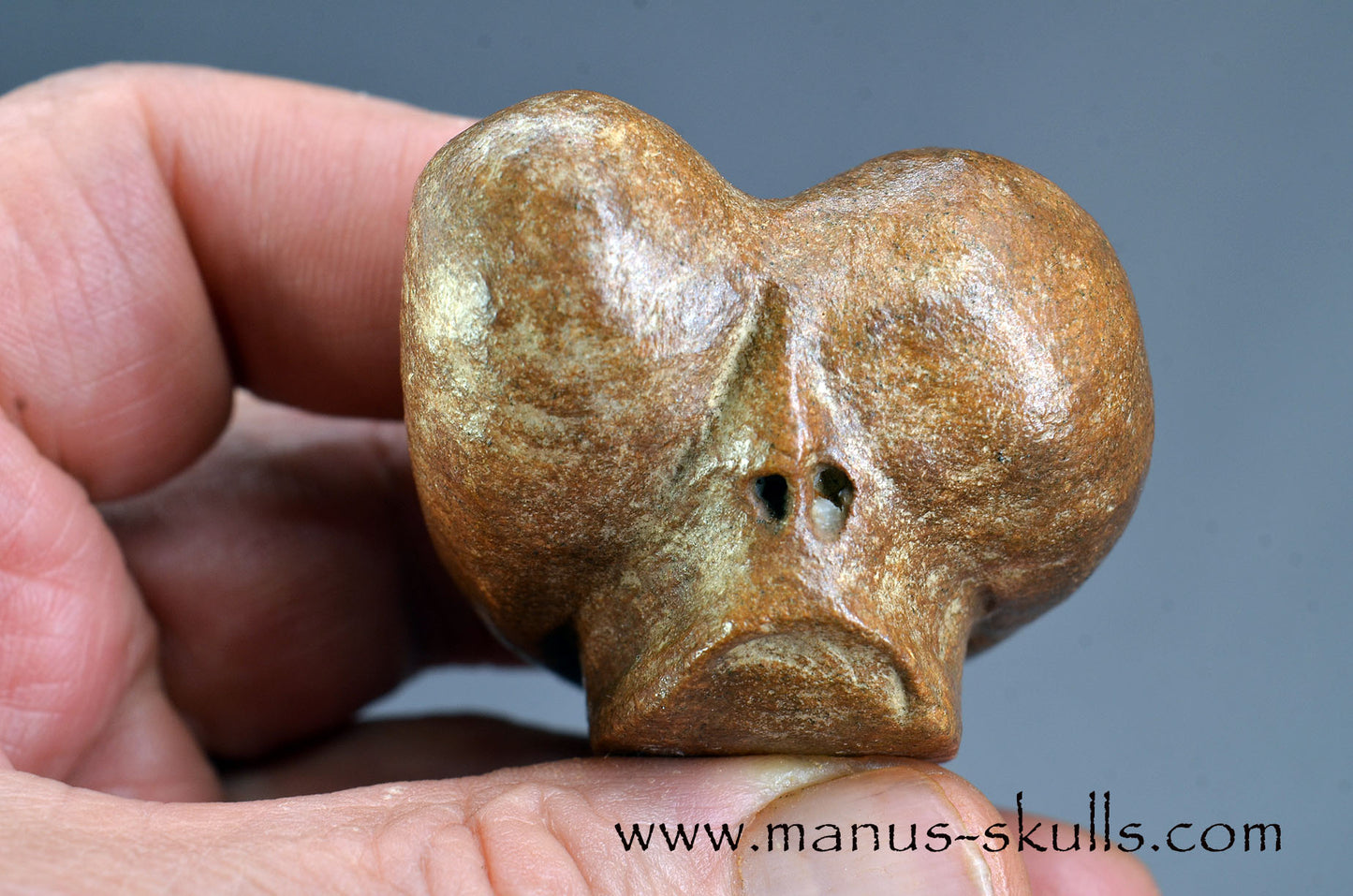 Brazilian Steatite Dragolian (#030)