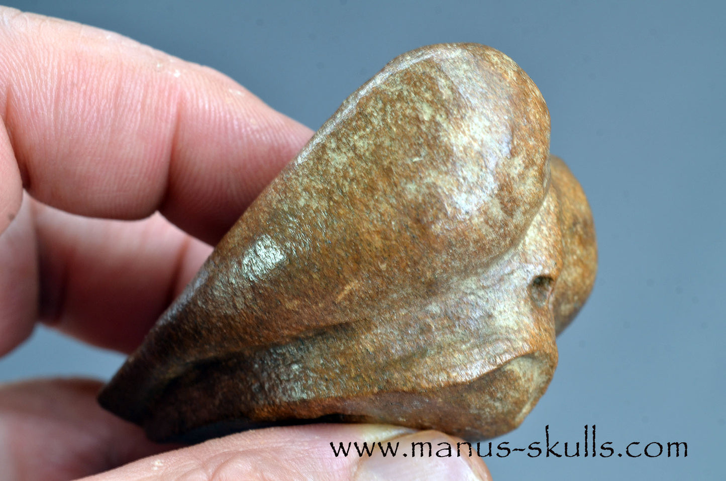 Brazilian Steatite Dragolian (#030)