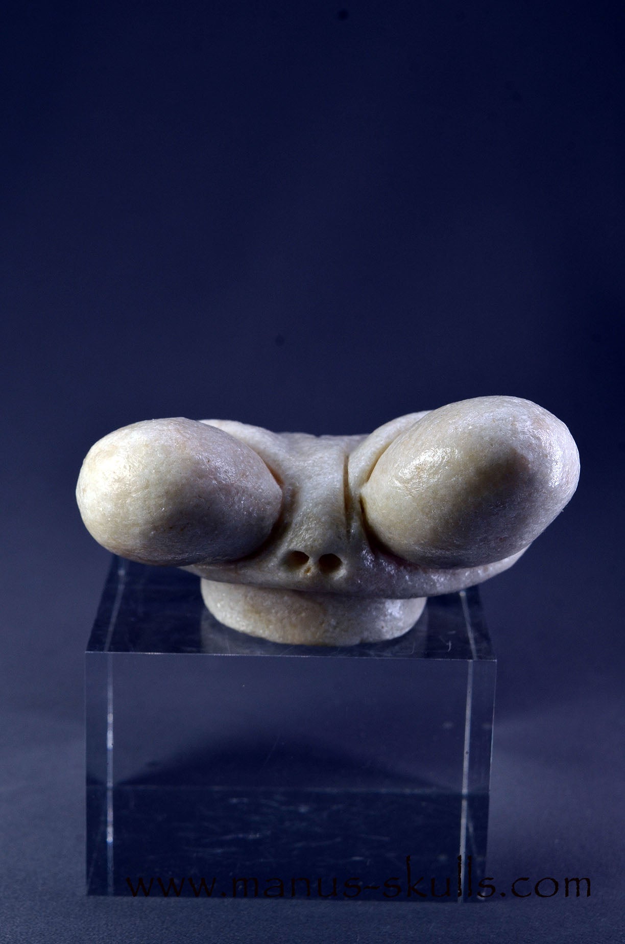 Manus skulls Evolians Dragolians unique Crystal Carvings handmade skulls dragons pendants preseli bluestone tribals spiritual meaning wand Unicorn .. Dragolian white steatite