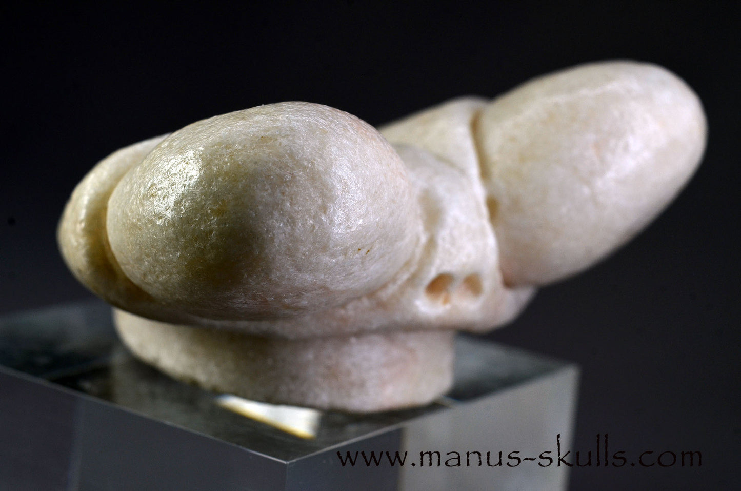 White Steatite Dragolian (#33)