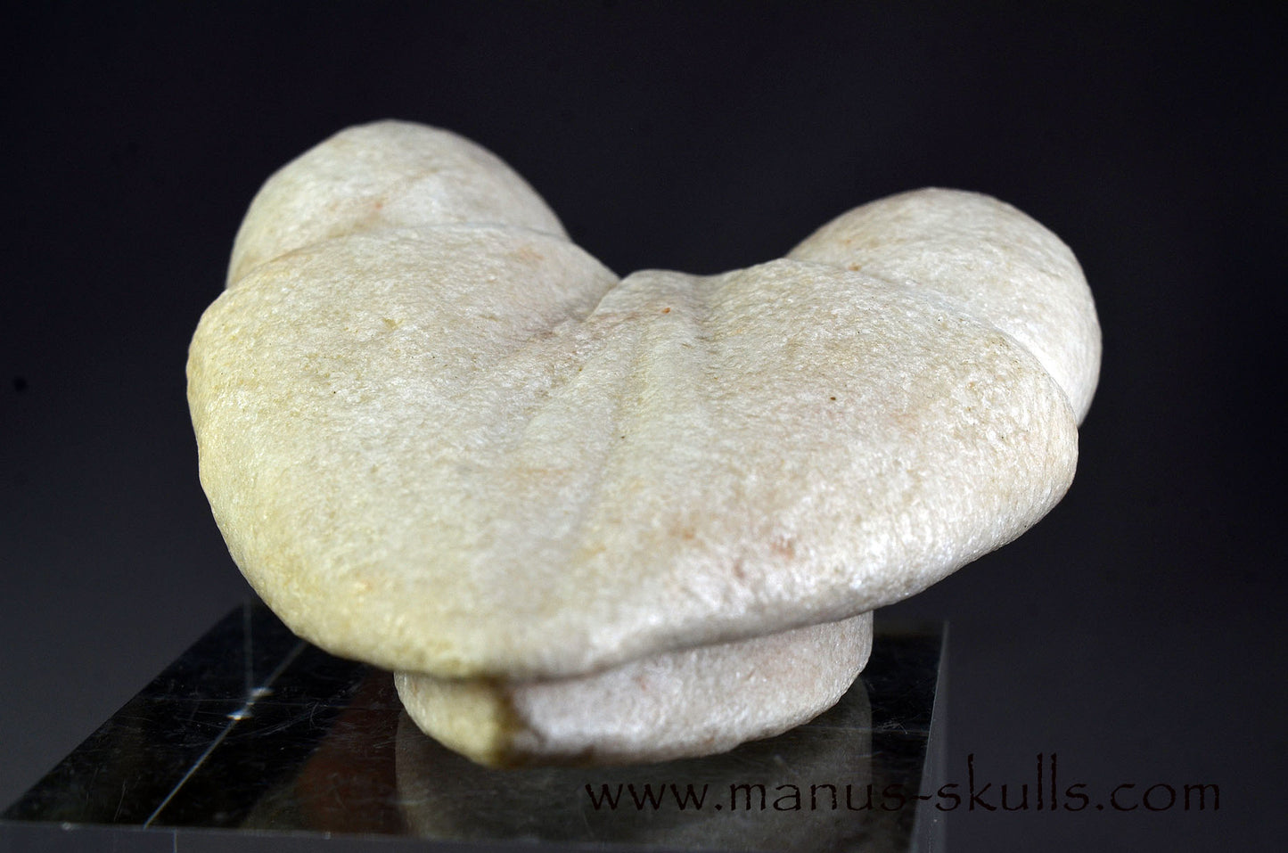 White Steatite Dragolian (#33)