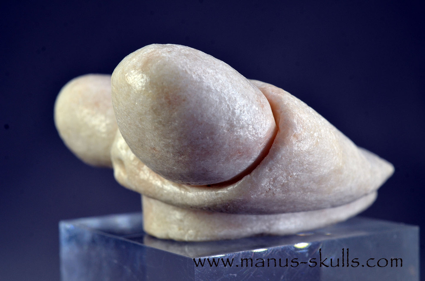 White Steatite Dragolian (#33)