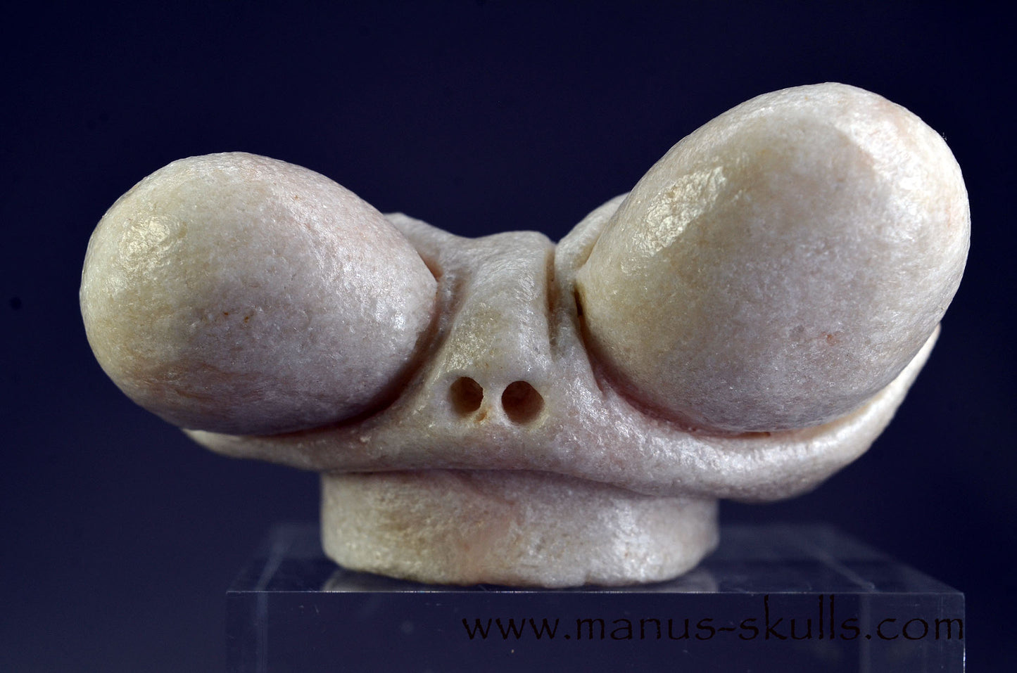 White Steatite Dragolian (#33)