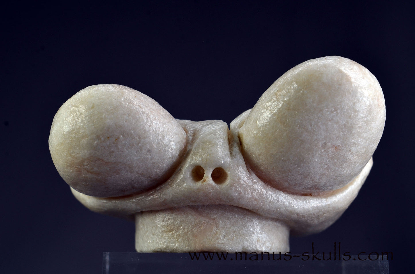 White Steatite Dragolian (#33)