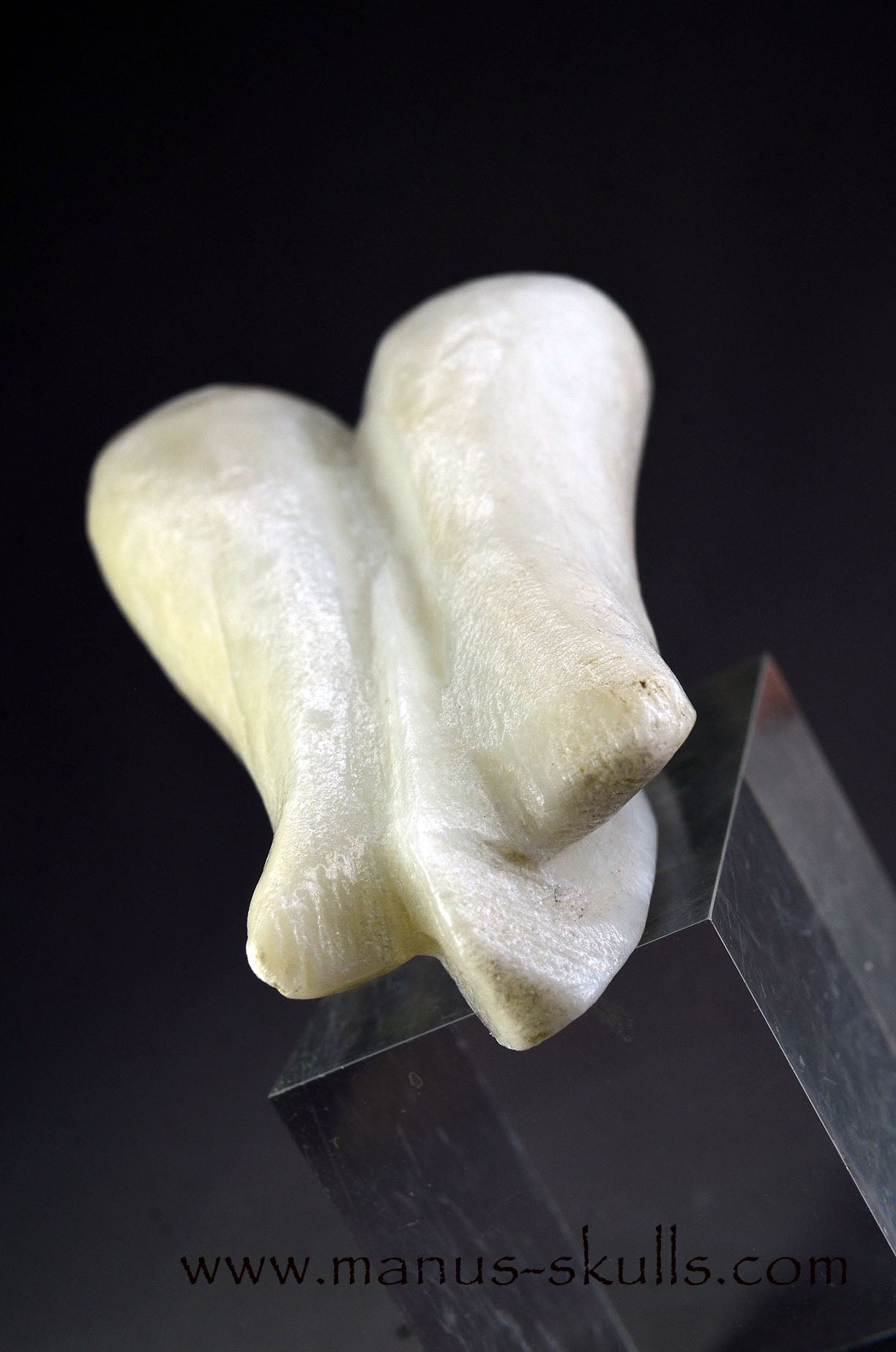 White Steatite Dragolian (#34)