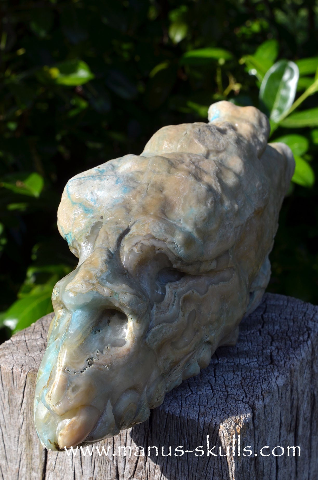 Manus skulls Evolians Dragolians unique Crystal Carvings handmade skulls dragons pendants preseli bluestone tribals spiritual meaning wand Unicorn ..  hemimorphite stalactite