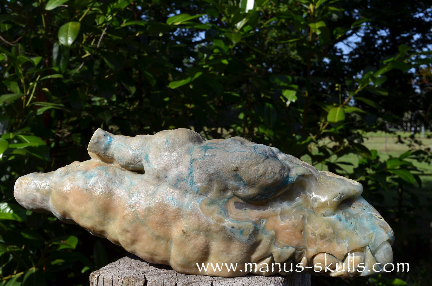 Rare HEMIMORPHITE Stalactite Dragon