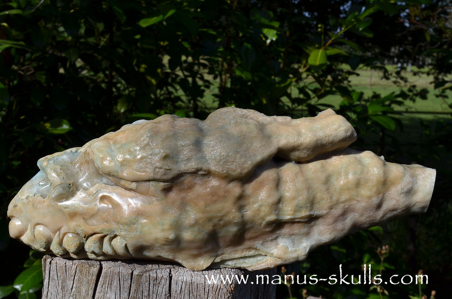 Rare HEMIMORPHITE Stalactite Dragon