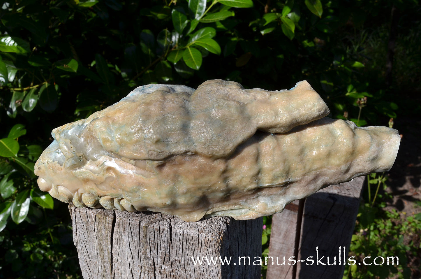 Rare HEMIMORPHITE Stalactite Dragon