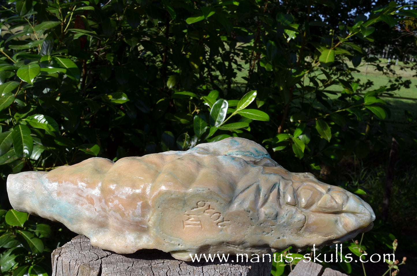 Rare HEMIMORPHITE Stalactite Dragon