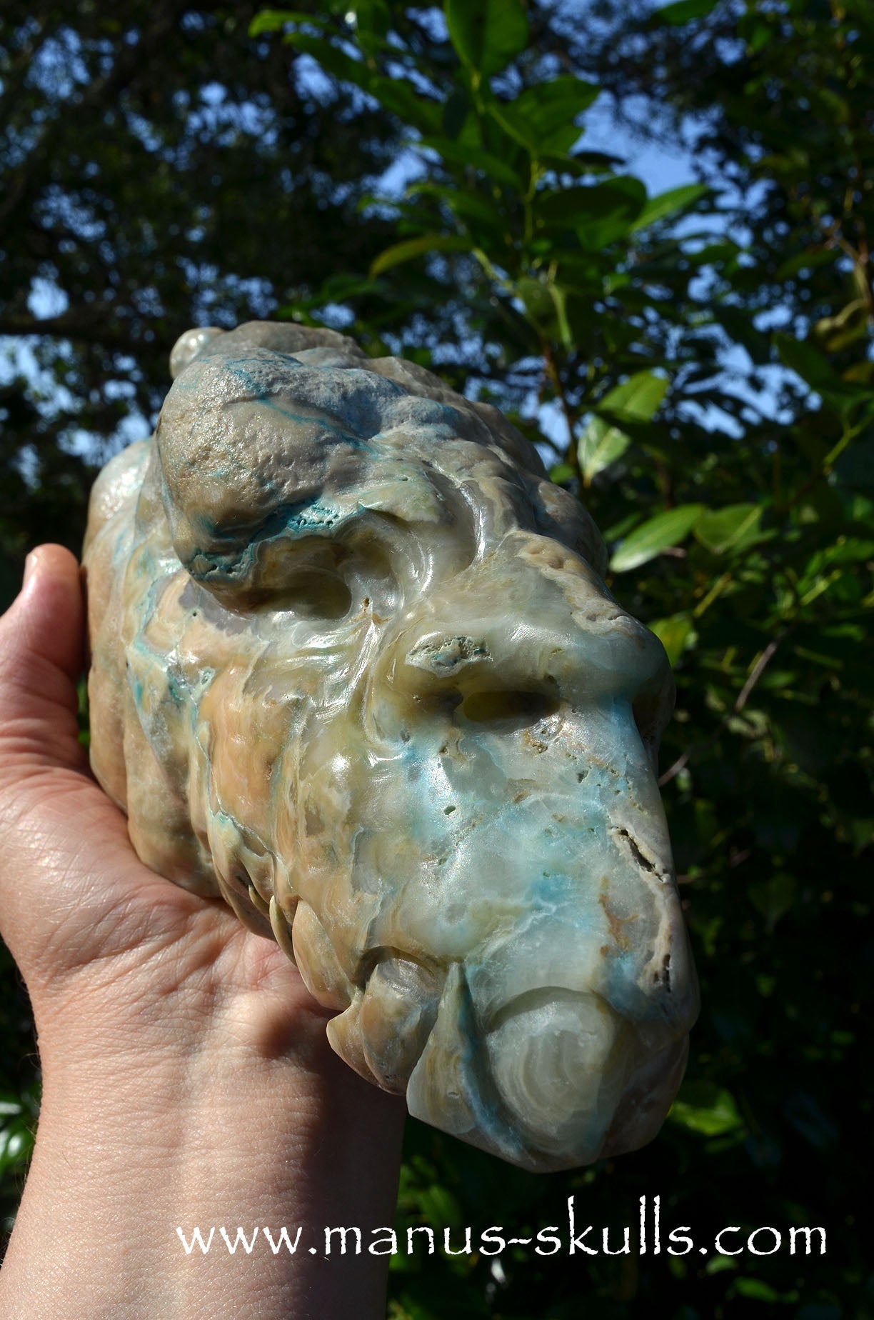 Rare HEMIMORPHITE Stalactite Dragon