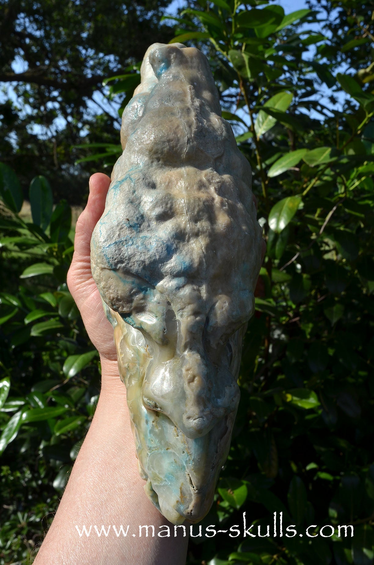 Rare HEMIMORPHITE Stalactite Dragon