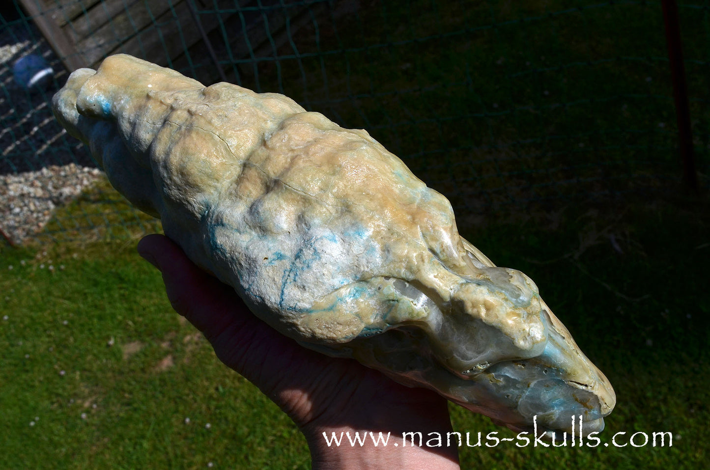 Rare HEMIMORPHITE Stalactite Dragon