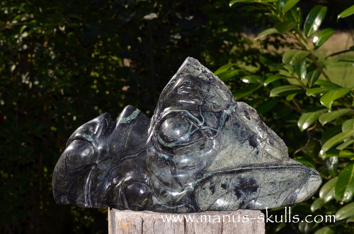 XL Greek SERPENTINE Dragon.
