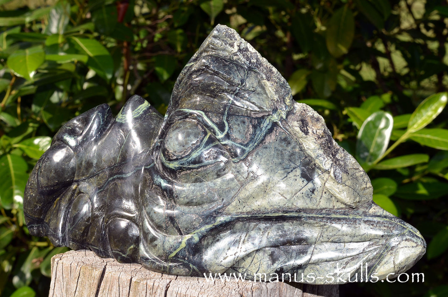 XL Greek SERPENTINE Dragon.