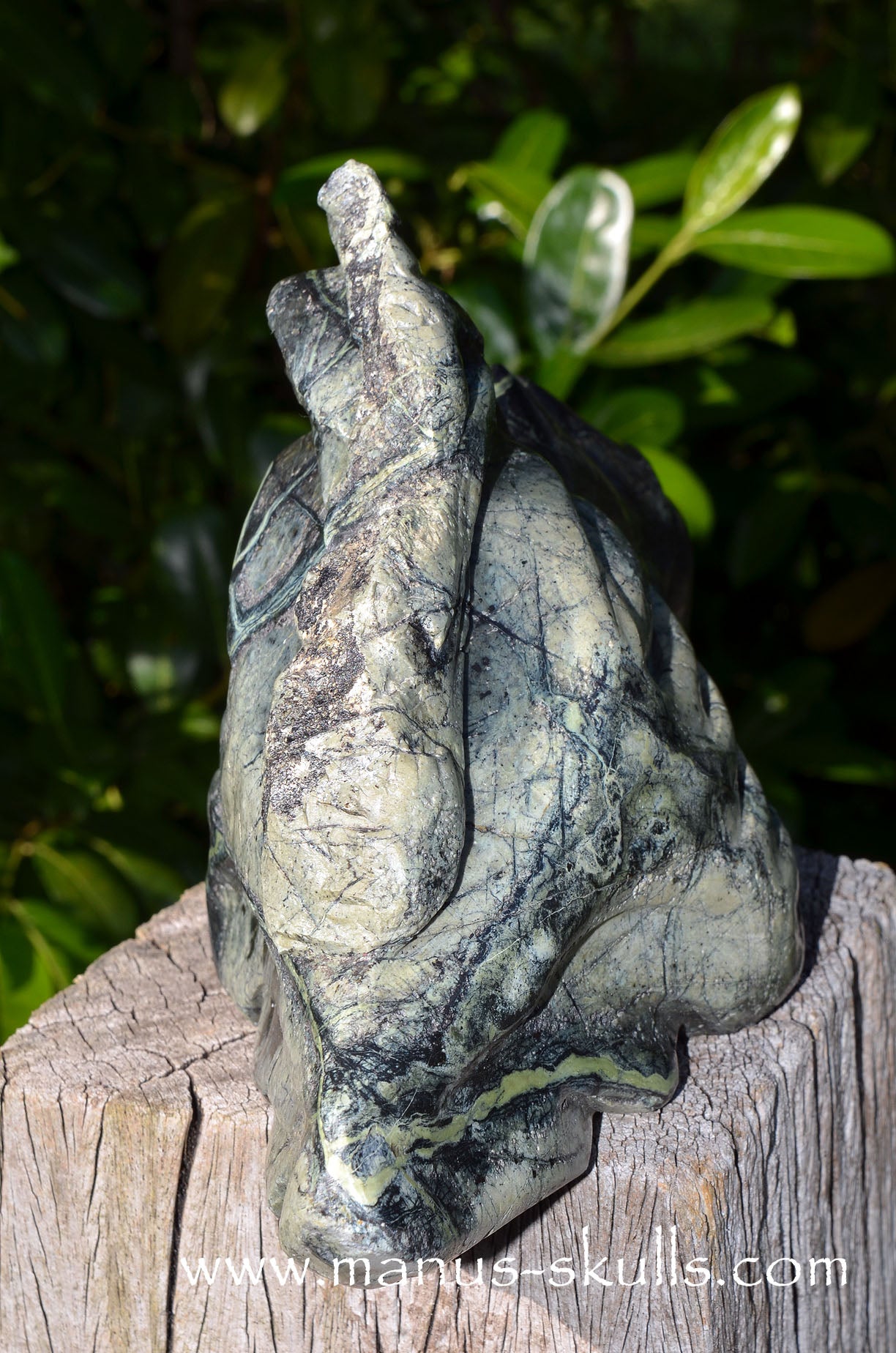 XL Greek SERPENTINE Dragon.