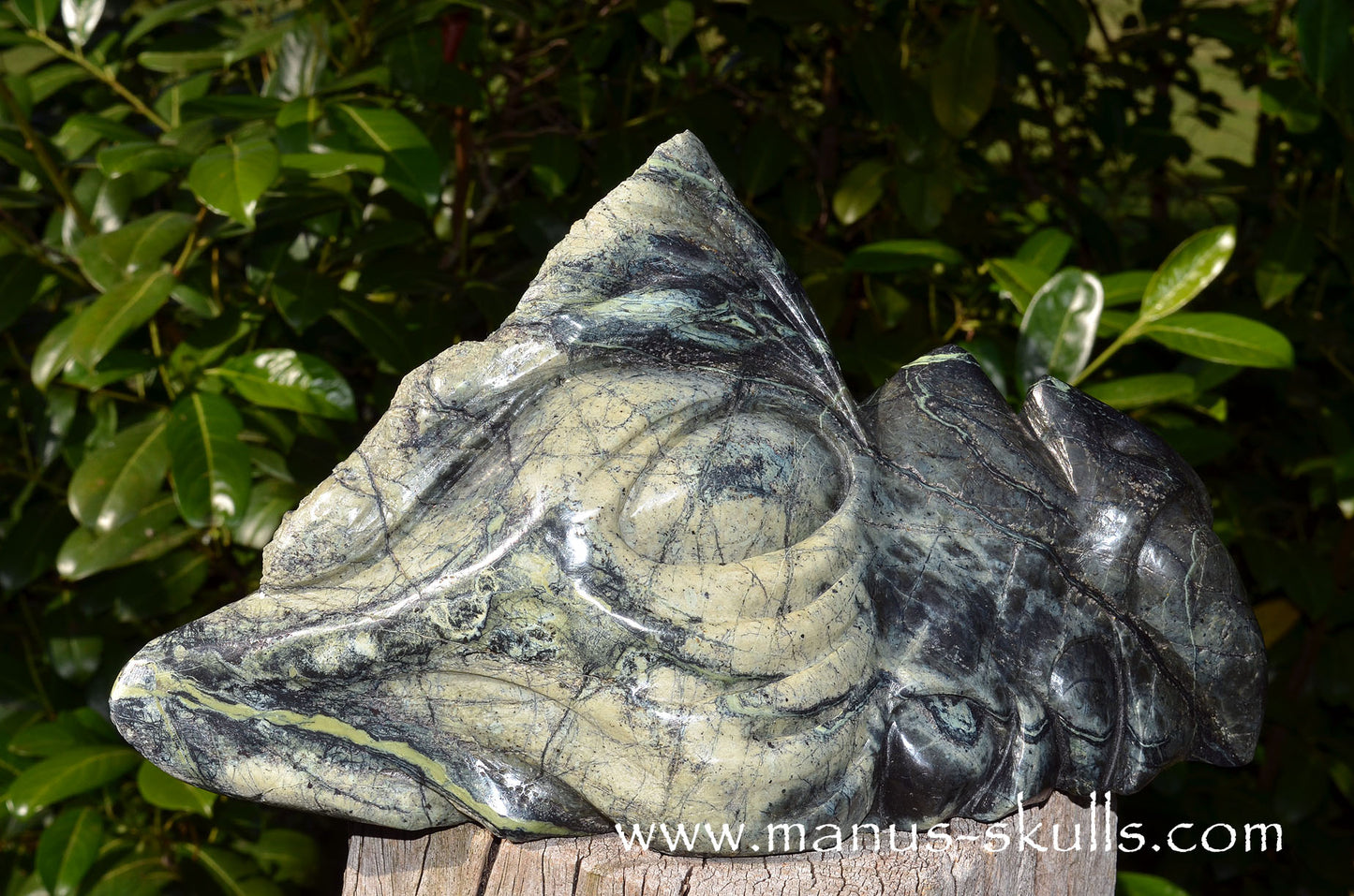 XL Greek SERPENTINE Dragon.