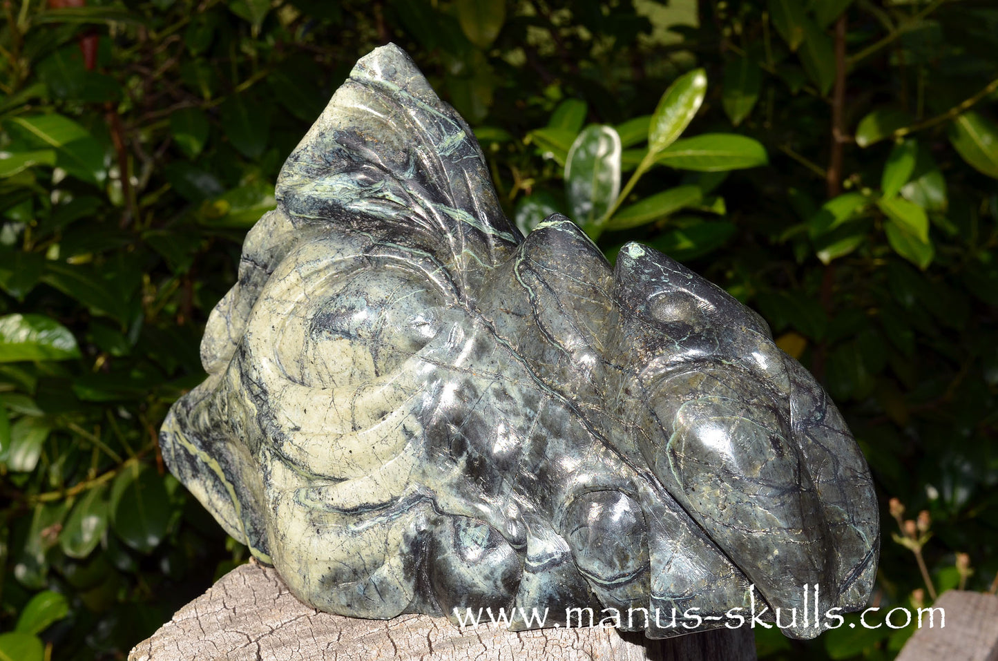 XL Greek SERPENTINE Dragon.