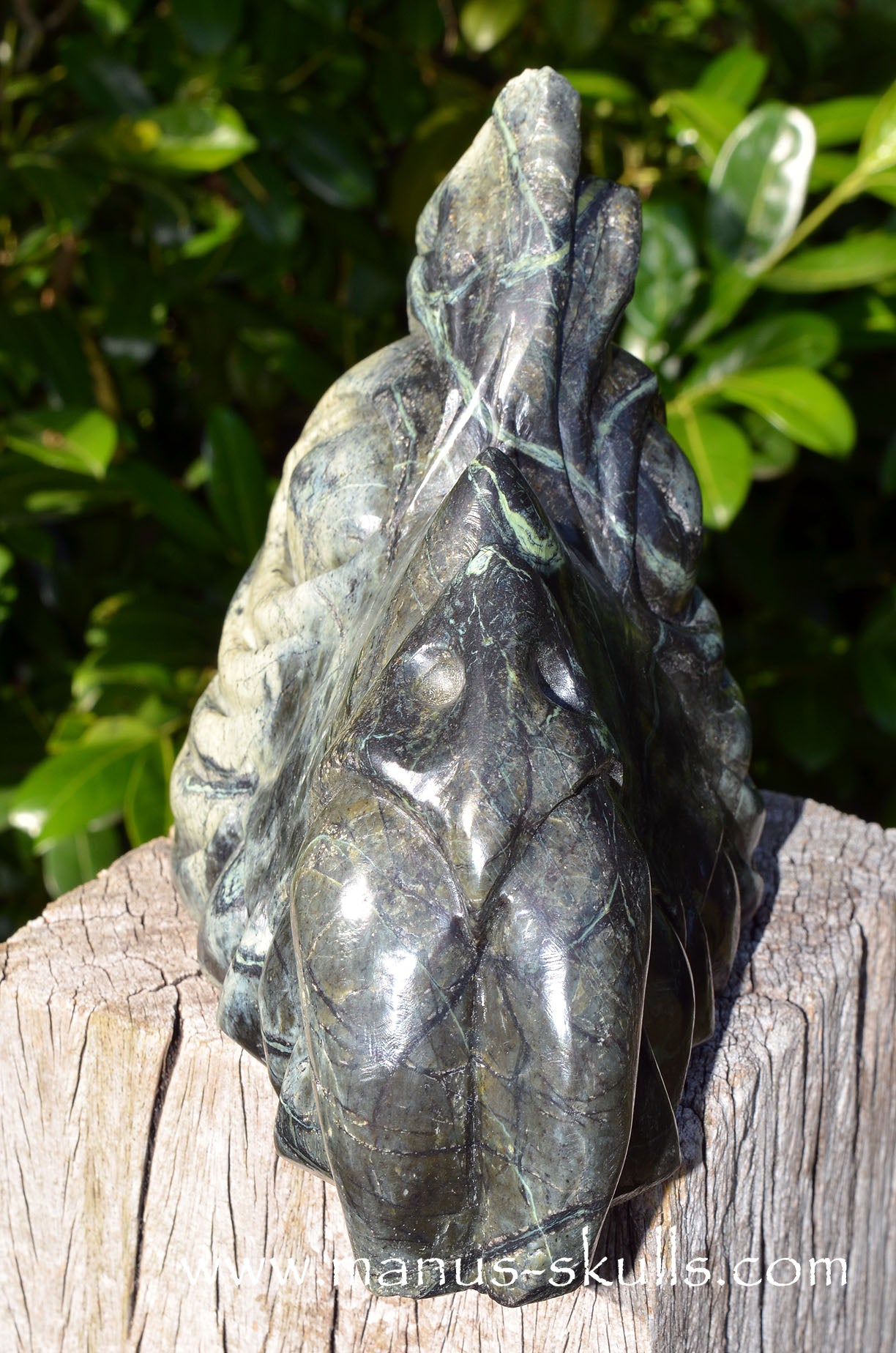 XL Greek SERPENTINE Dragon.