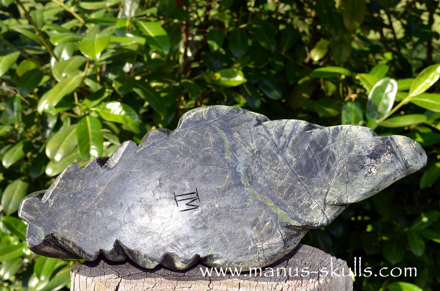 XL Greek SERPENTINE Dragon.