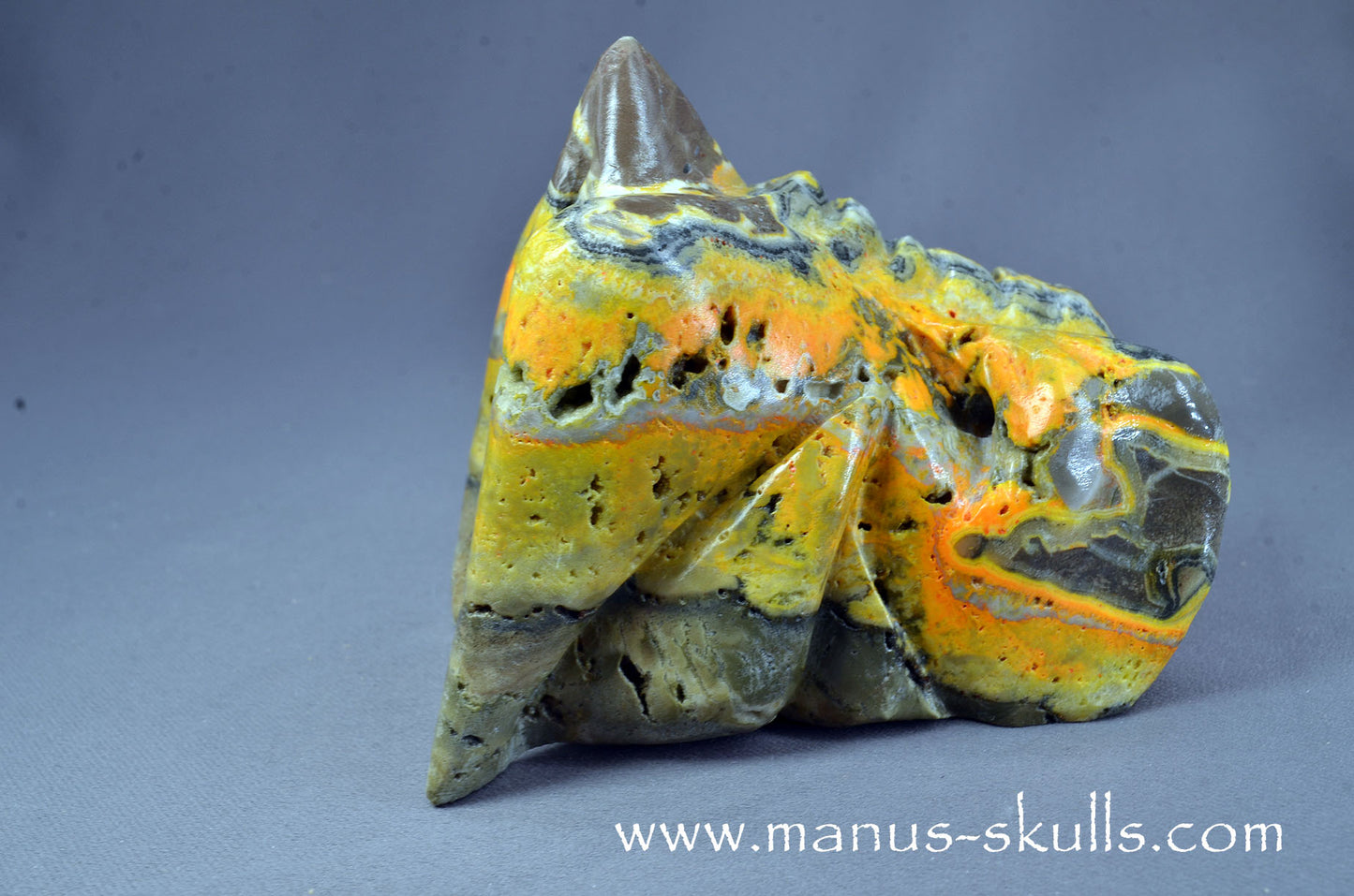 Bumble Bee Jasper Dragon