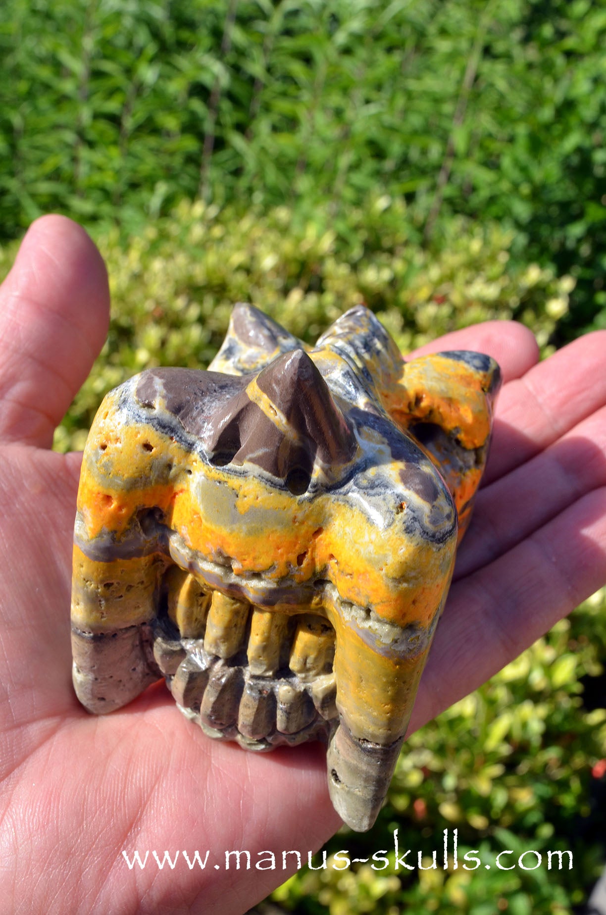 Bumble Bee Jasper Dragon