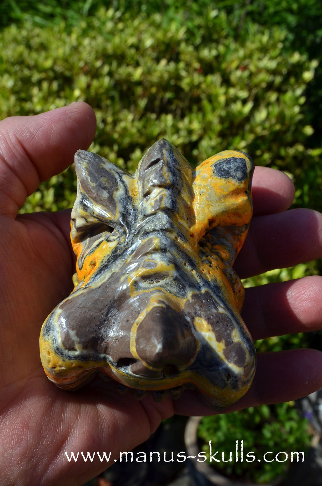 Bumble Bee Jasper Dragon